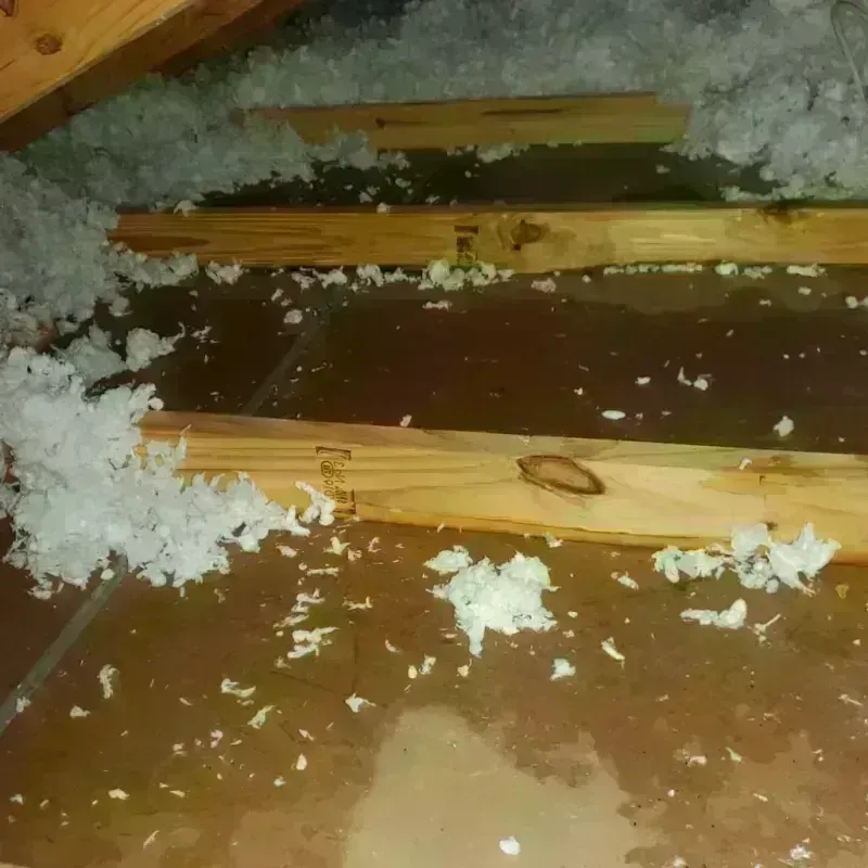 Attic Water Damage in Leadville, CO